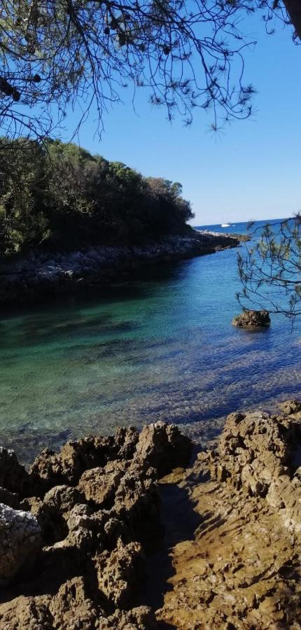 Apartmán Volme Pool Banjole Exteriér fotografie